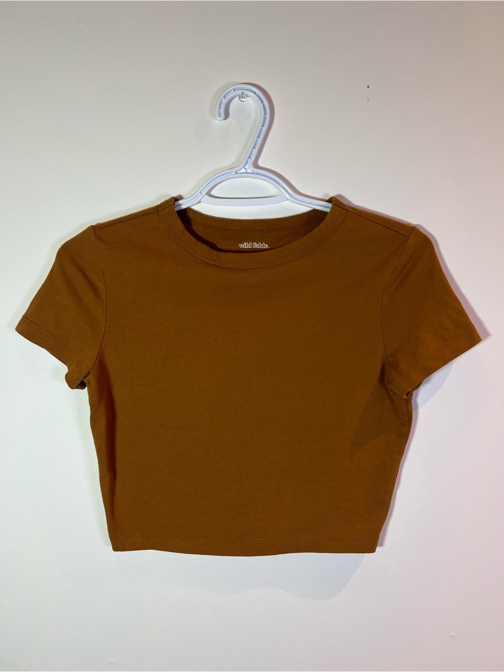 Wild Fable Brown Women’s Small Minimalist Chic Cropped Crewneck Tee